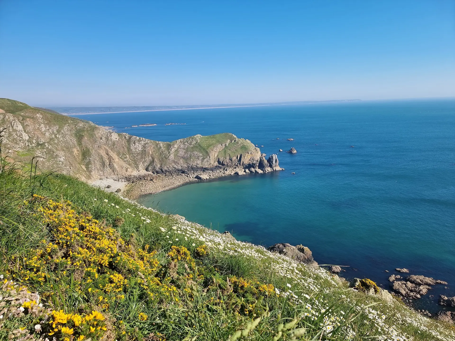 Le local : 100% Cotentin